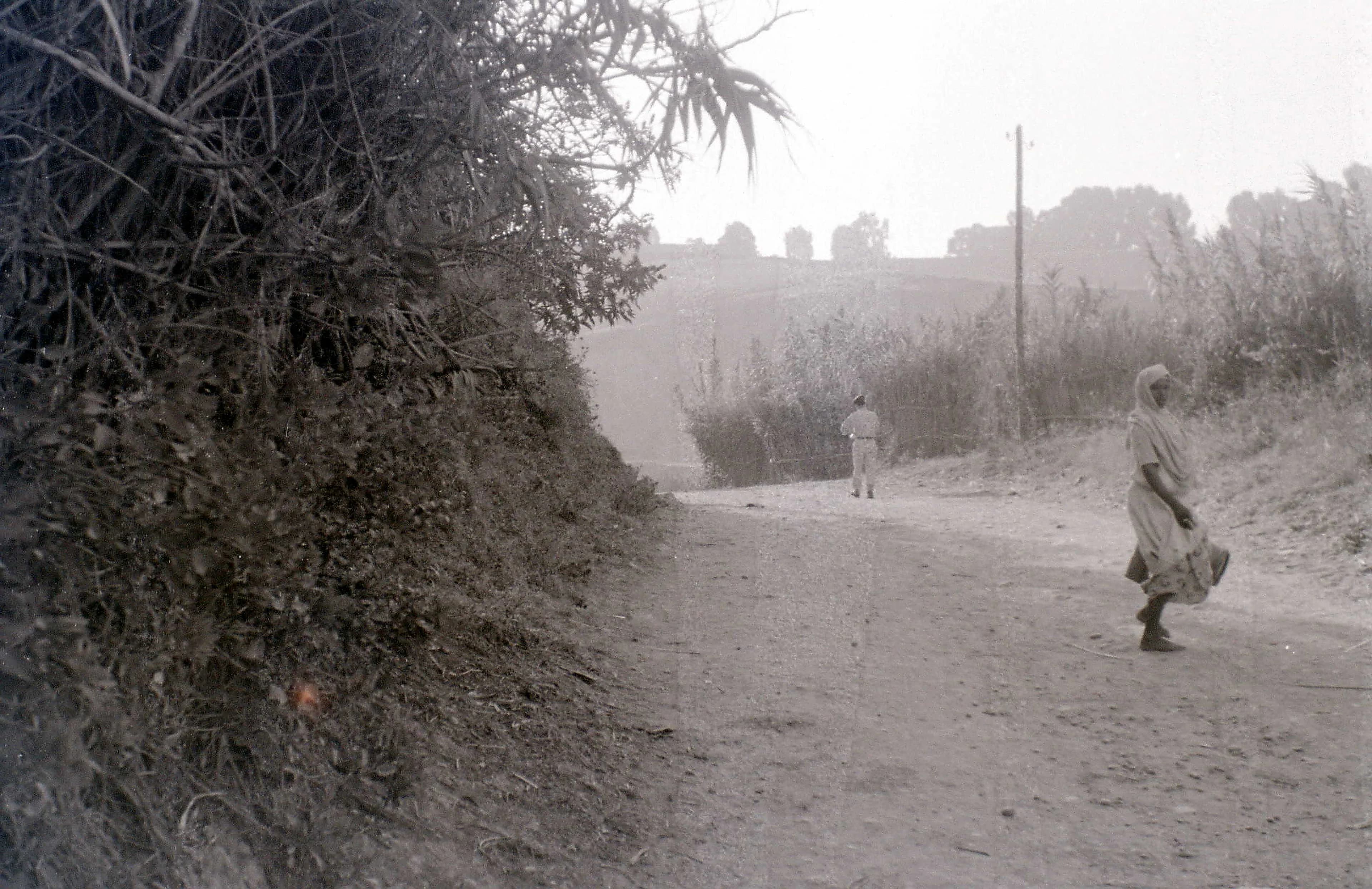 Padrino Photobooks Background