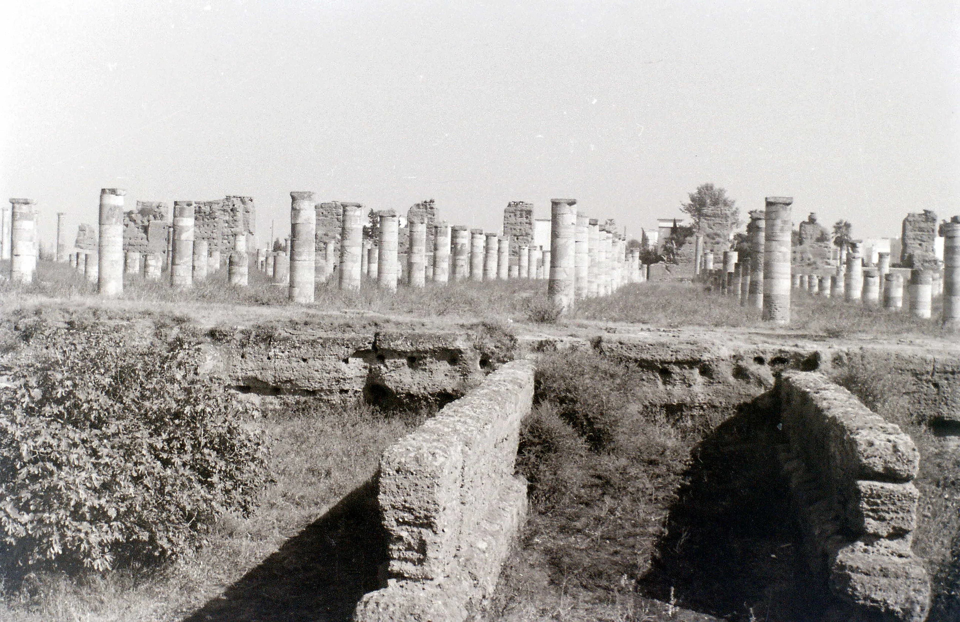 Padrino Photobooks Background