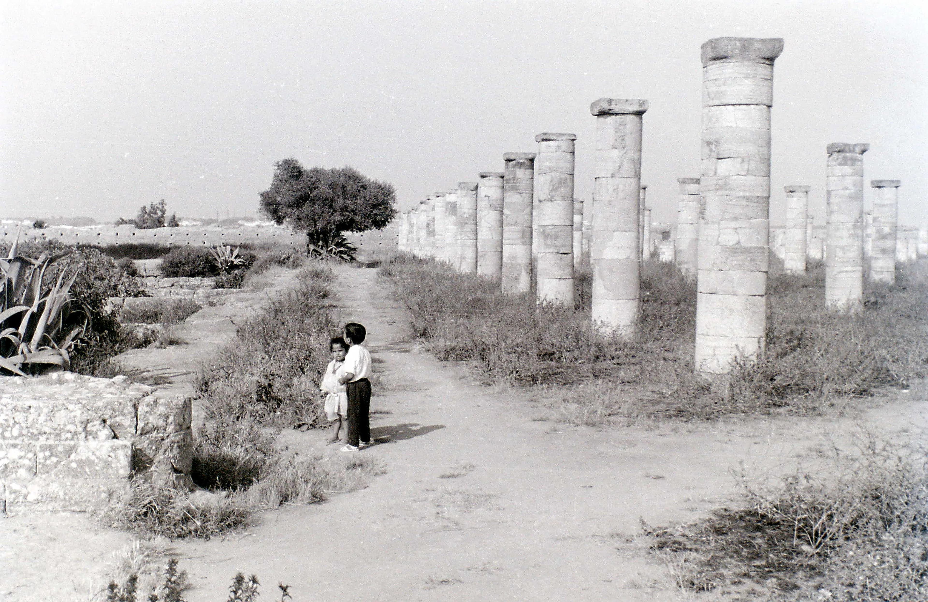 Padrino Photobooks Background